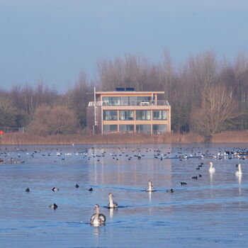 Coln Park 1
