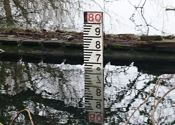 Gauge Board Landscape