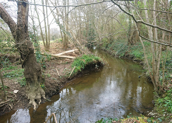 Long Acres River Eden