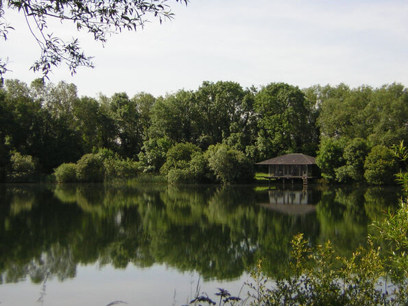 Coln Park 5
