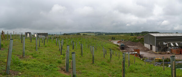 A303 - 6