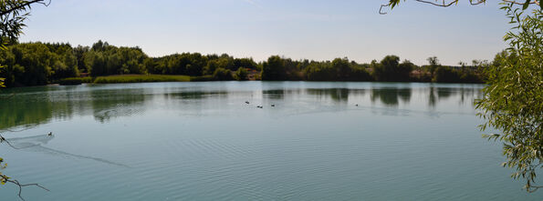 Coln Park 3