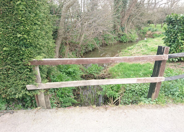 Long Acres Trib Stream