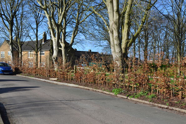 AONB Chipping Norton - 10