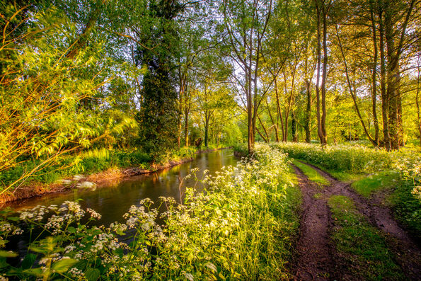 Coln Park 4