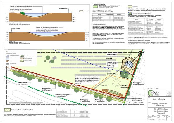 WREX-ASH-03-2 Newt Implementation Planting 1