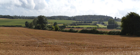 Brickworth - 5
