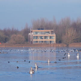 Coln Park 1
