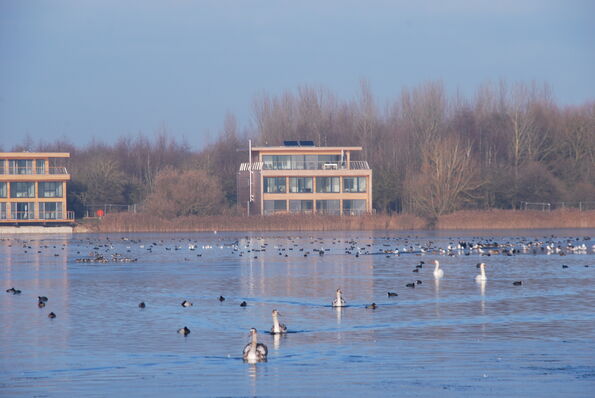 Coln Park 1