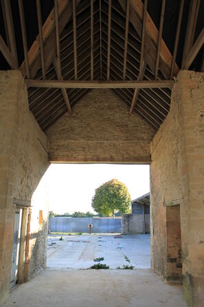 Sheddens 7