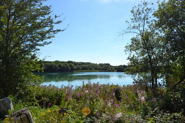 Coln Park 2