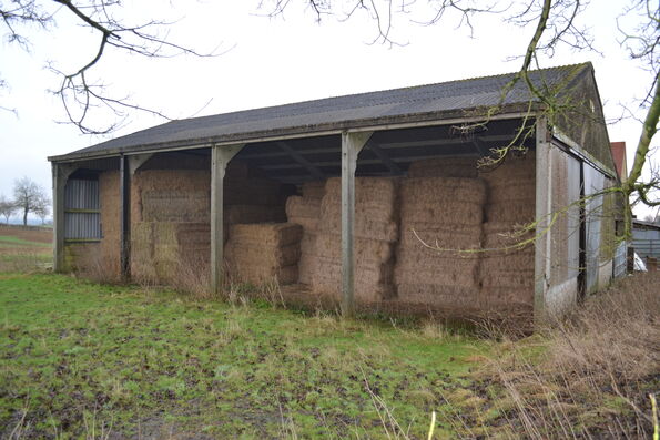 Sheddens 4